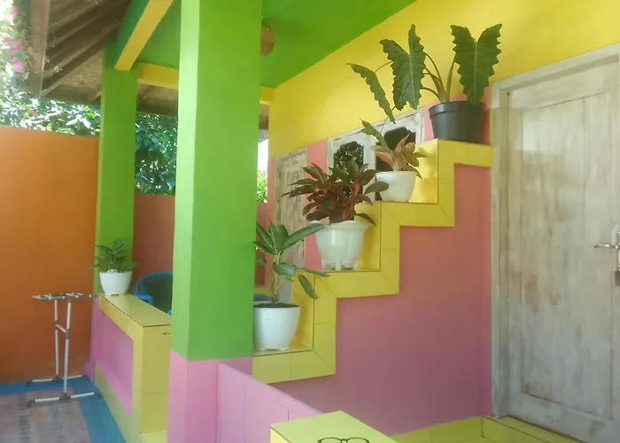 Séjour chez l'habitant Alola *