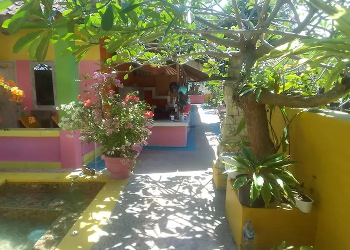 Alola Séjour chez l'habitant