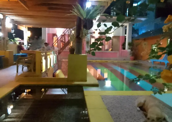 Alola Séjour chez l'habitant